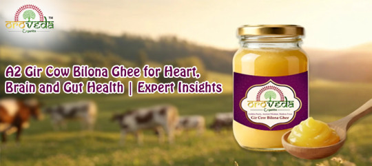A2 Gir Cow Bilona Ghee for Heart, Brain and Gut Health | Expert Insights