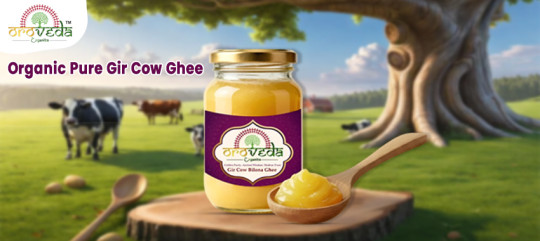 A2 Gir Cow Bilona Ghee | Why India Trusts Pure Bilona Ghee